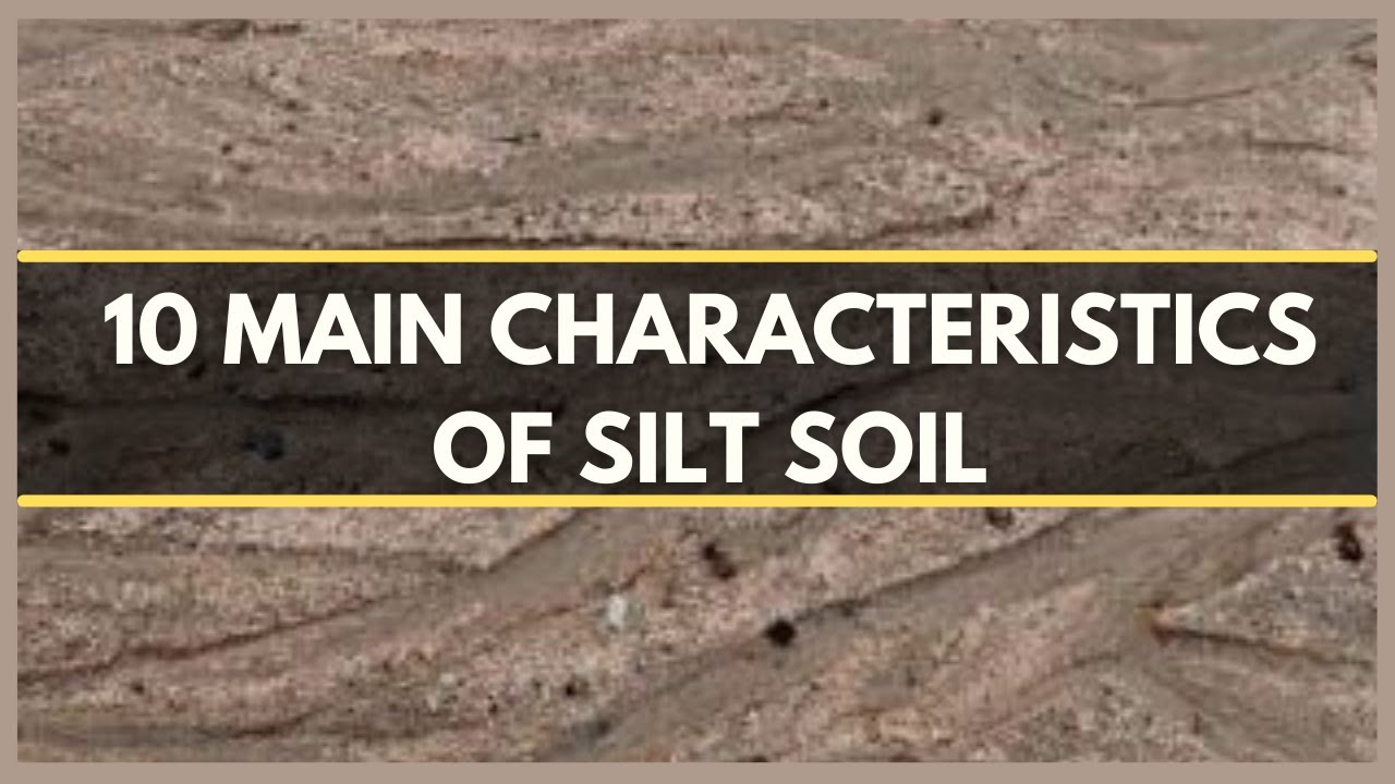 SILT SOIL : 10 MAIN CHARACTERISTICS OF SILT SOIL | SOIL TYPES | SOIL FORMATION | SOIL HEALTH