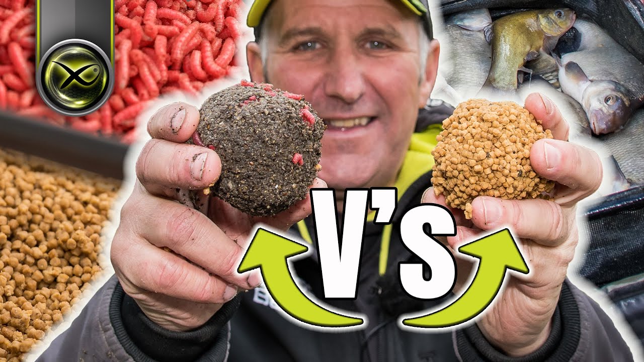 PICK THE PERFECT BAIT - Natural Baits v Pellets with MARK POLLARD