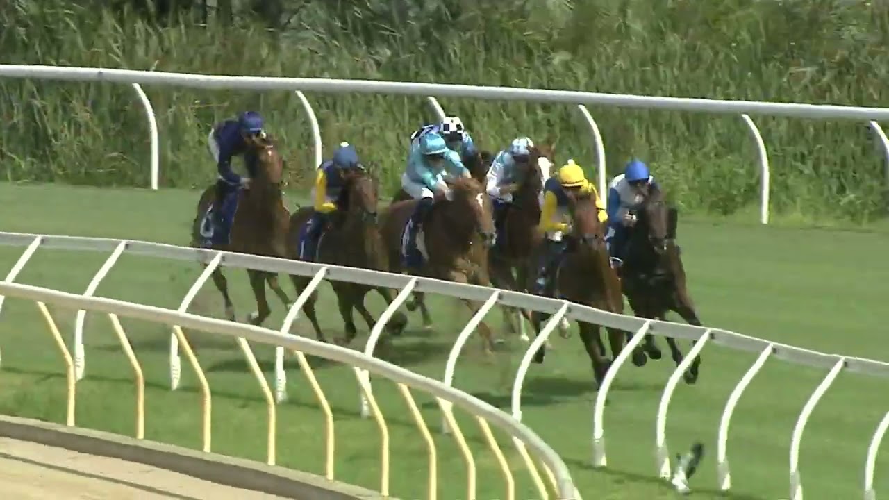 PARADOXIUM - Magic Millions Wyong 2yo Classic 2025 (2YO SW RLR) Ограниченный список, Вайонг, 10 д...