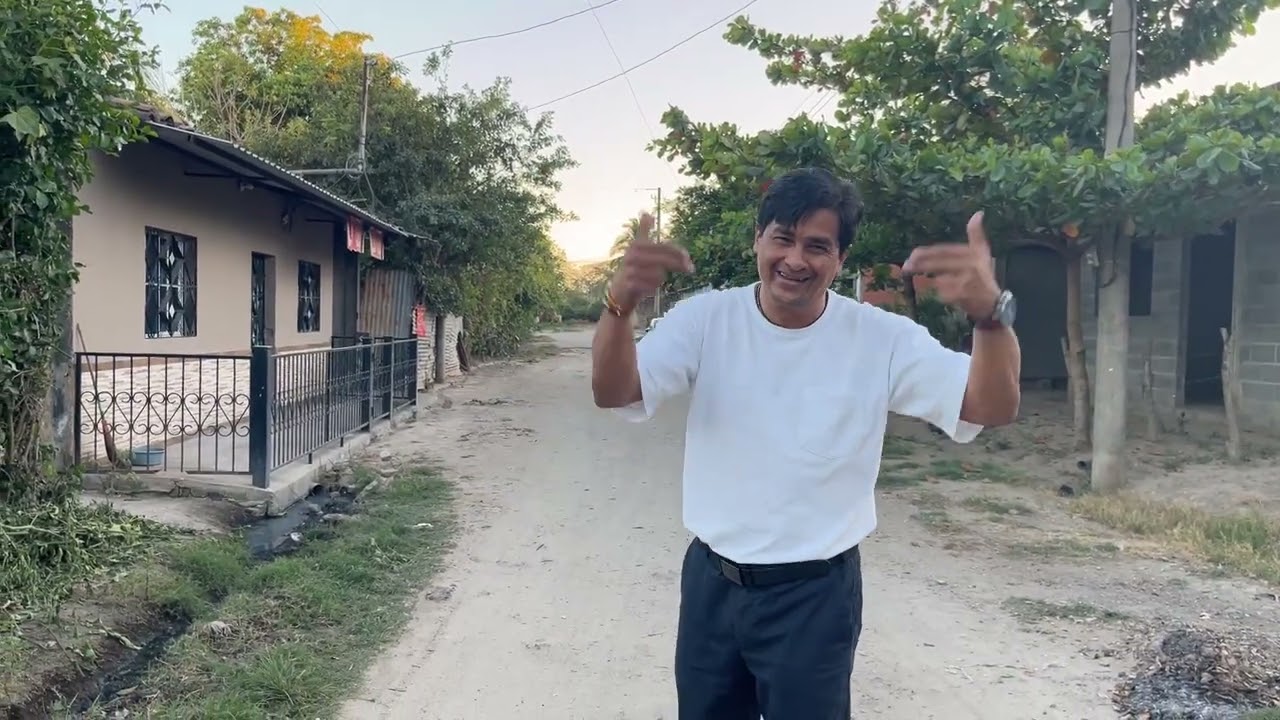 Palapas línea