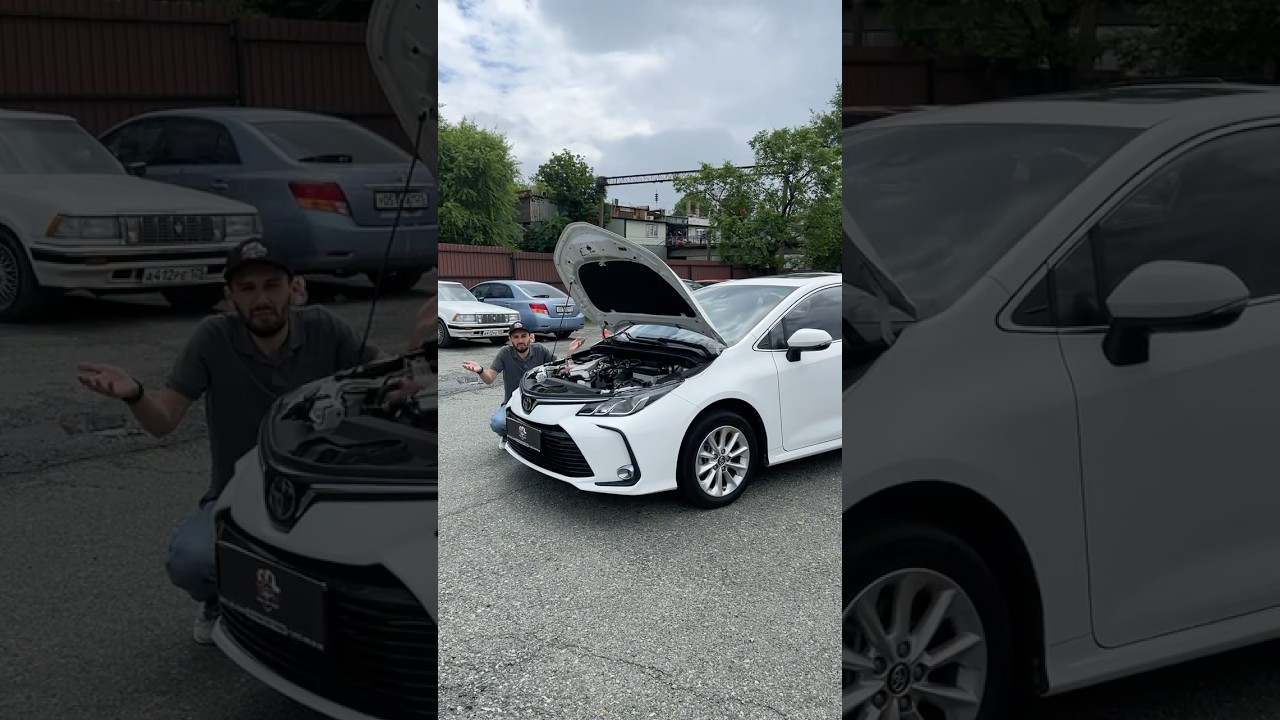 Не покупайте Toyota Corolla пока не посмотрите это видео! Что выберем? Пиши в комментах #авто