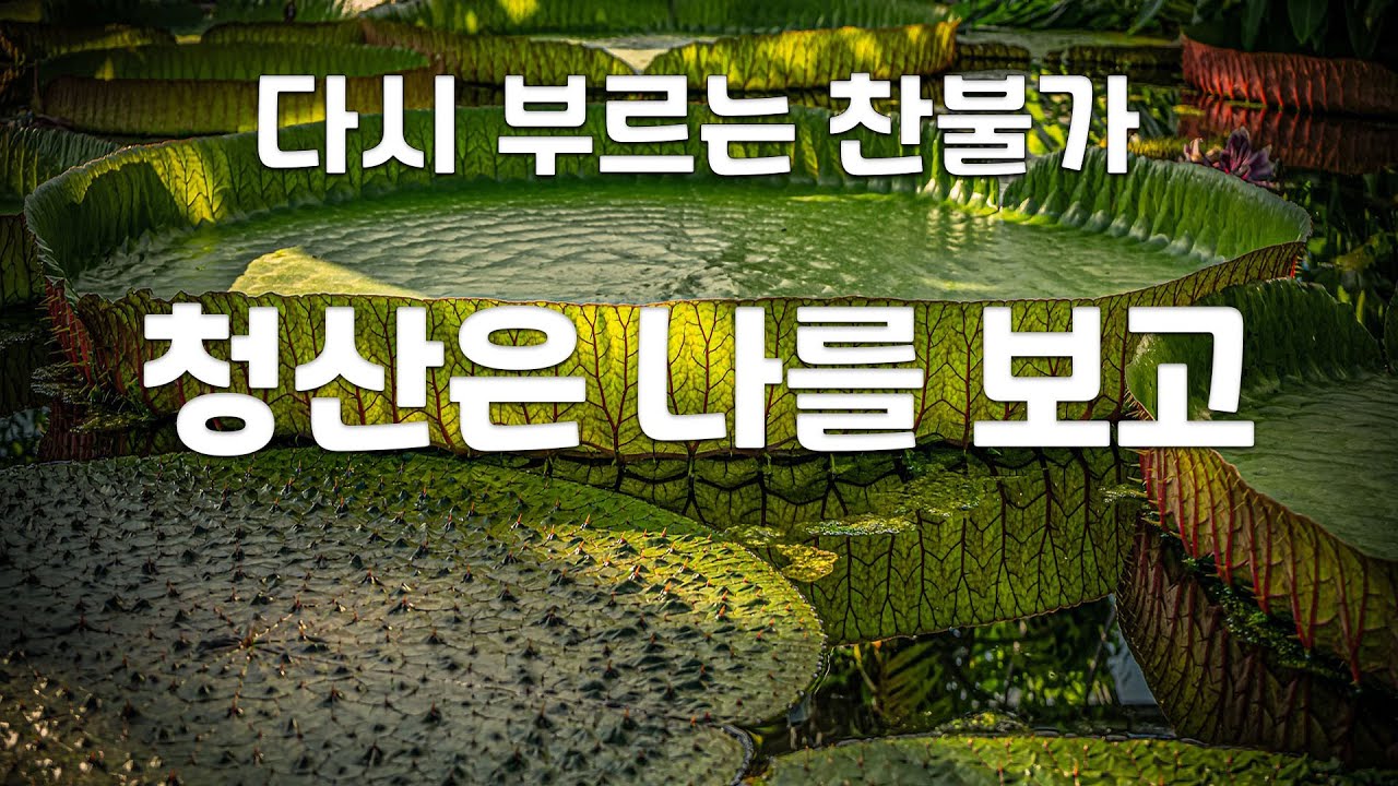 청산은 나를 보고 ( 다시부르는 찬불가 ) ( 노래 : 김무한 )