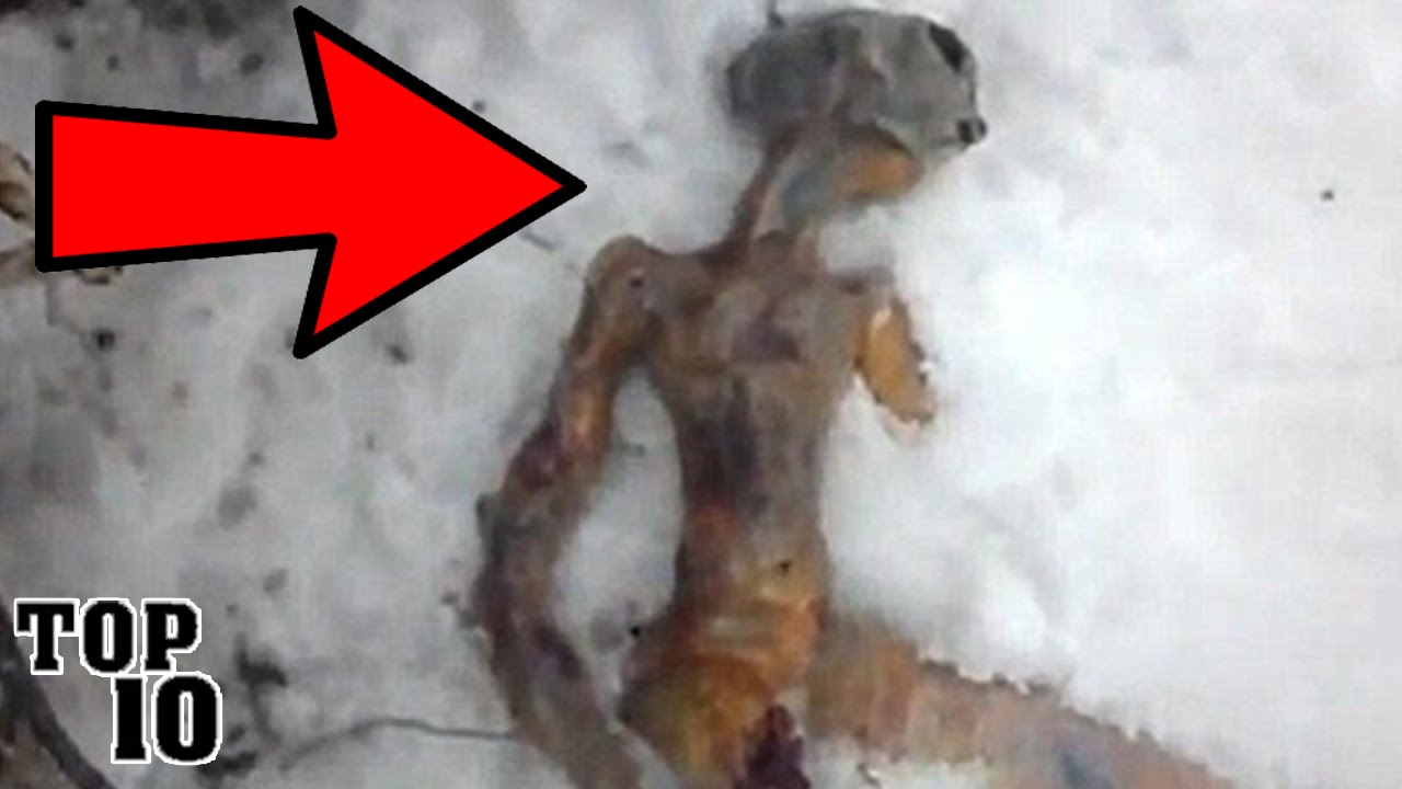 Top 10 Biggest Internet Hoaxes