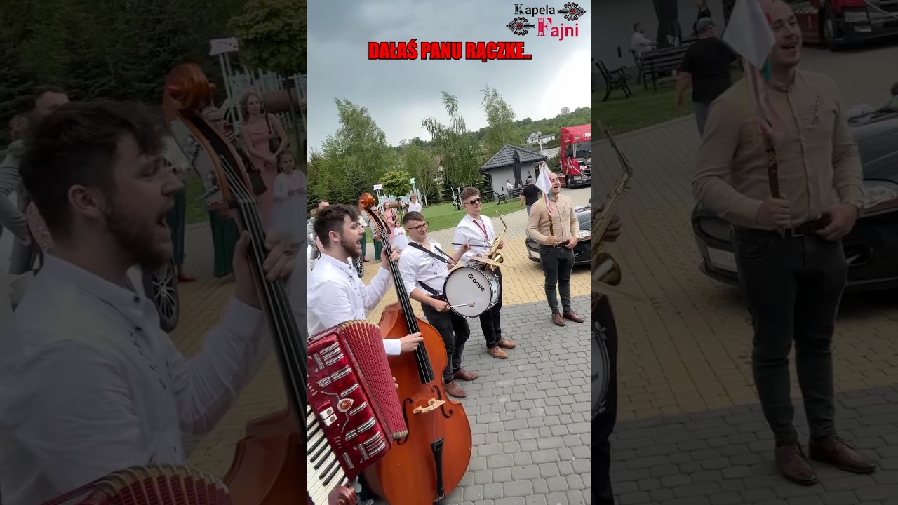 DAŁAŚ PANU RĄCZKĘ❤️&zwj;🔥✅ #kapelafajni #wedding #kapela #music #wesele #biesiada #folk #cover