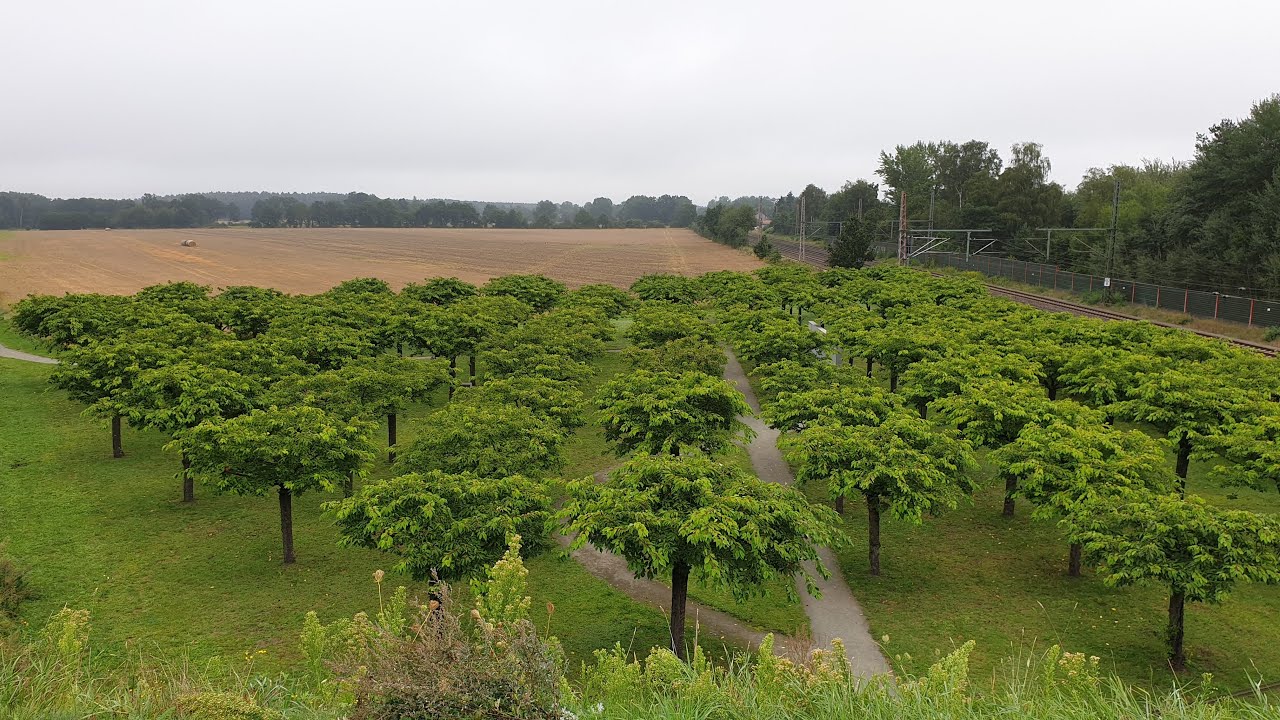 Gedenkstätte Eschede (HD)