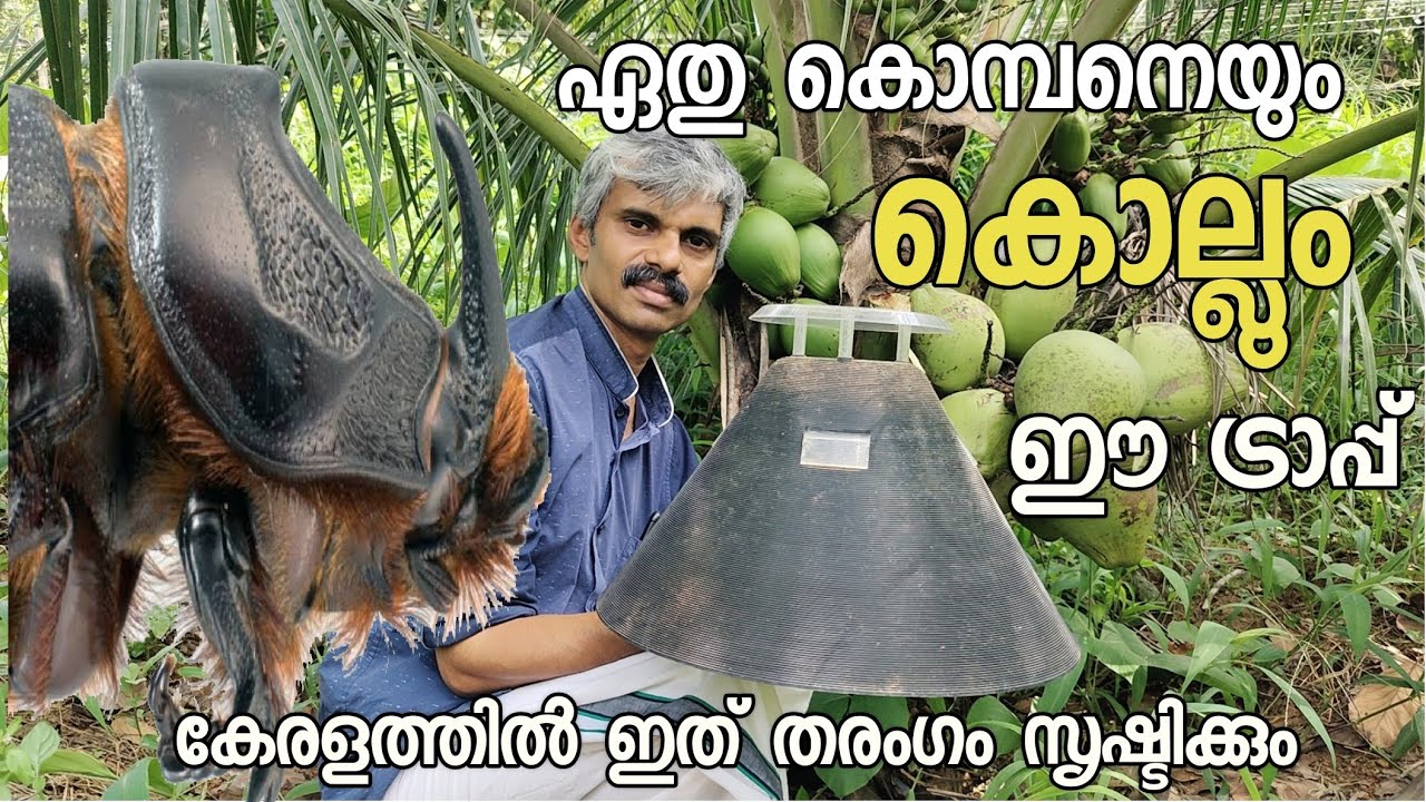 ഇതിൽപ്പെട്ടാൽ ഏത് കൊമ്പന്റെയും ചെമ്പന്റെയും ജീവൻ തിരിച്ചുകിട്ടില്ല  farming malayalam