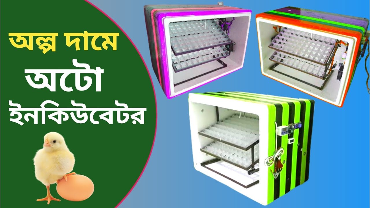 chicken egg incubator | incubator for chicken eggs | chicken egg hatching | শখের ইনকিউবেটর incubator