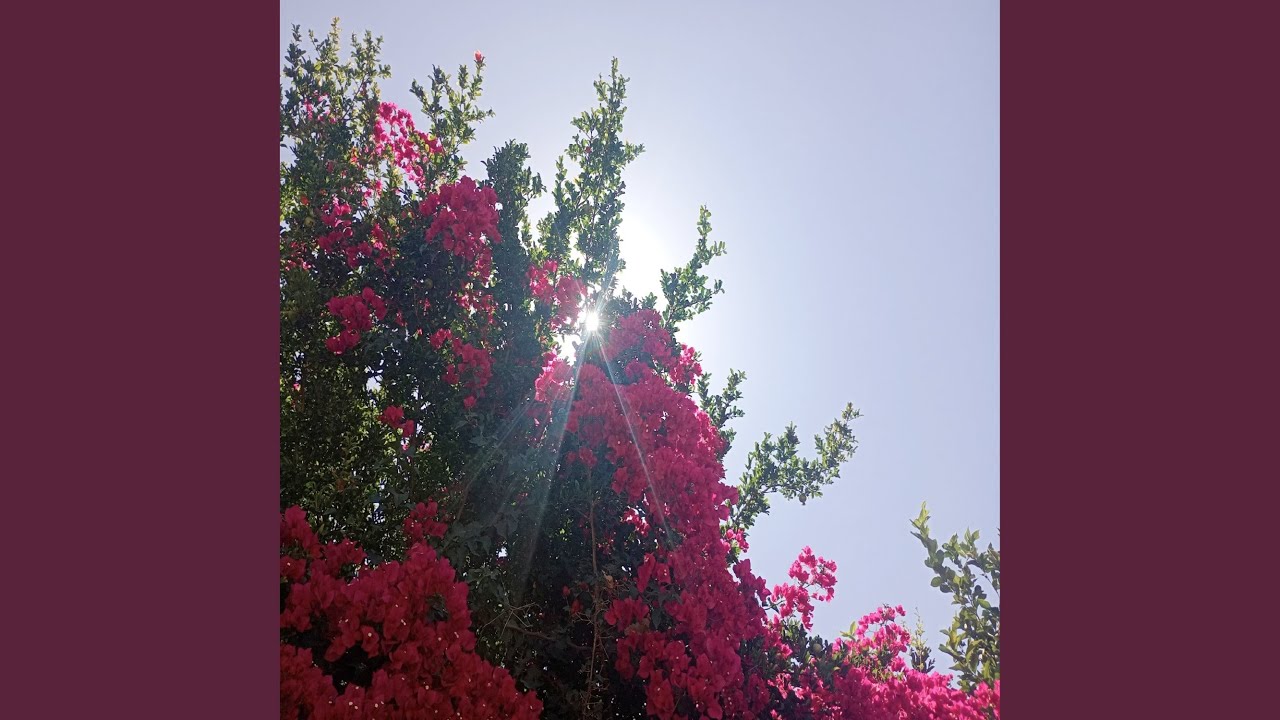 I Am a Knight in Rusty Armor