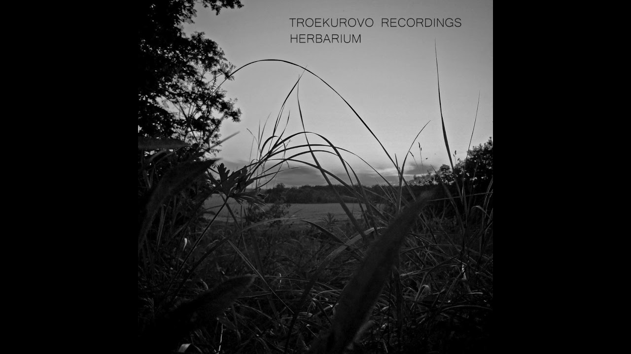 Toki Fuko, Vadim Basov, Evgeny Vorontsov - Troekurovo Session '20 (Herbarium) [Full Album]