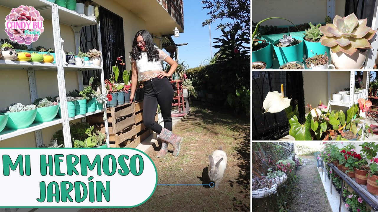 TOUR POR MI JARDÍN: Así están TODAS mis PLANTAS│Candy Bu