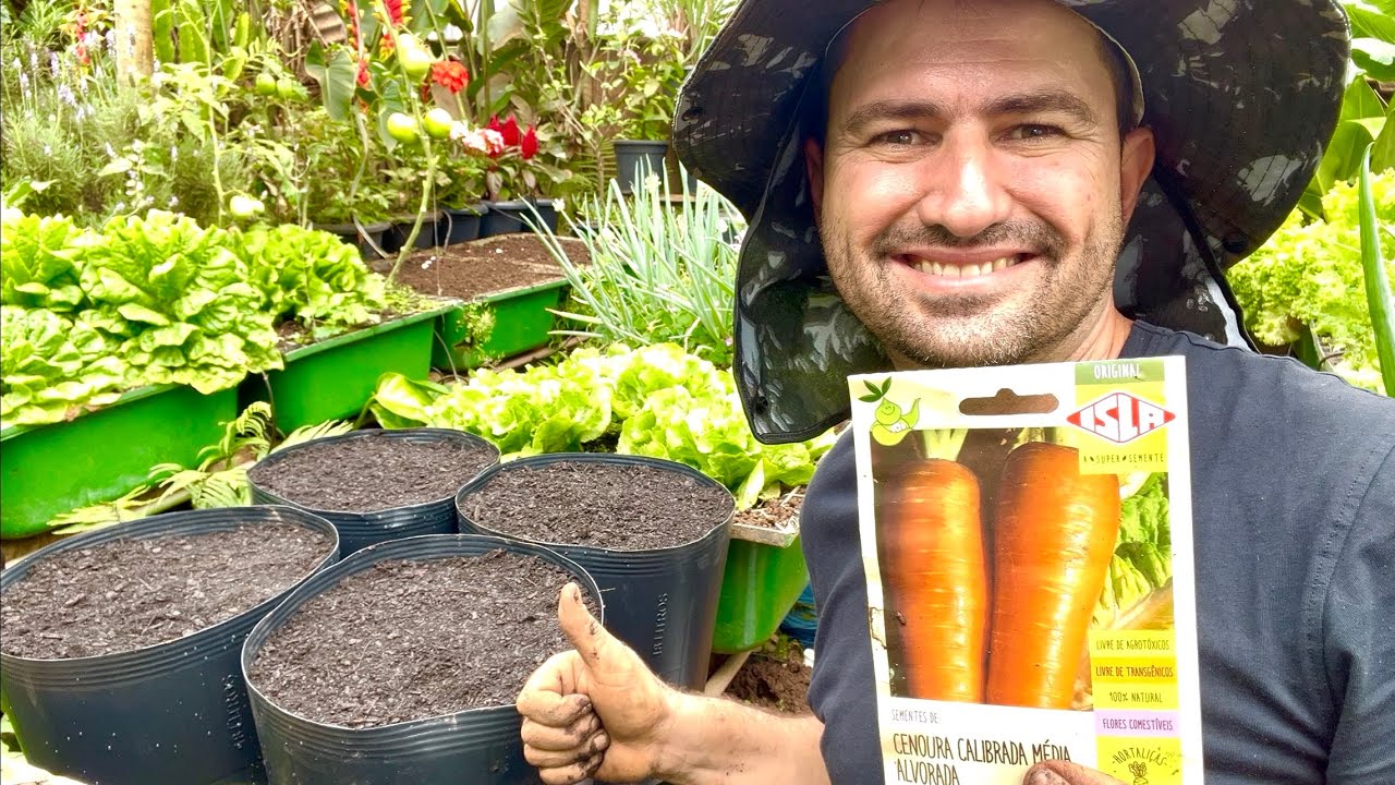 COMO PLANTAR CENOURA CORRETAMENTE PARA QUE CRESÇA LONGA E GROSSA