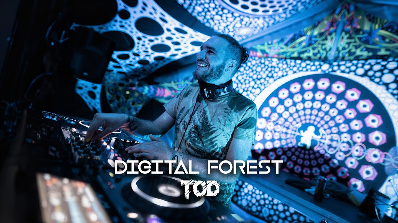 TOD - Digital Forest 2024 - Psytechno set