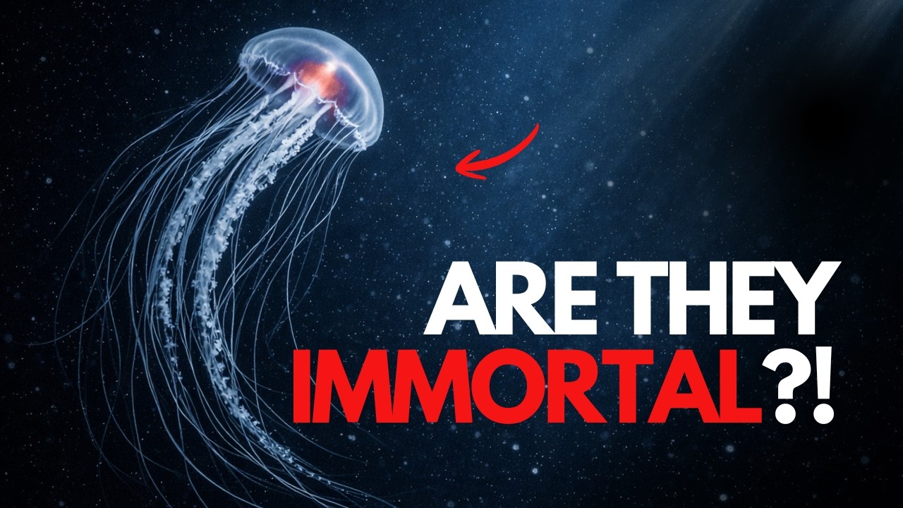 3 Ocean Creatures That Cheat The Rules of Death