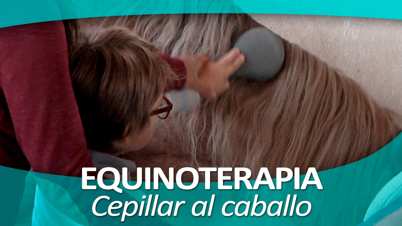 EQUINOTERAPIA 3 | Cepillar al caballo