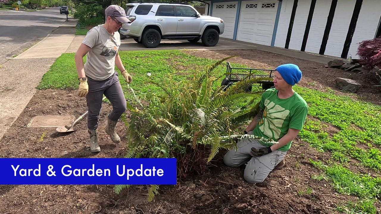 From Jungle to Gem: DIY Landscaping, Garden, and Yard update for our Midcentury Modern Home, part 15