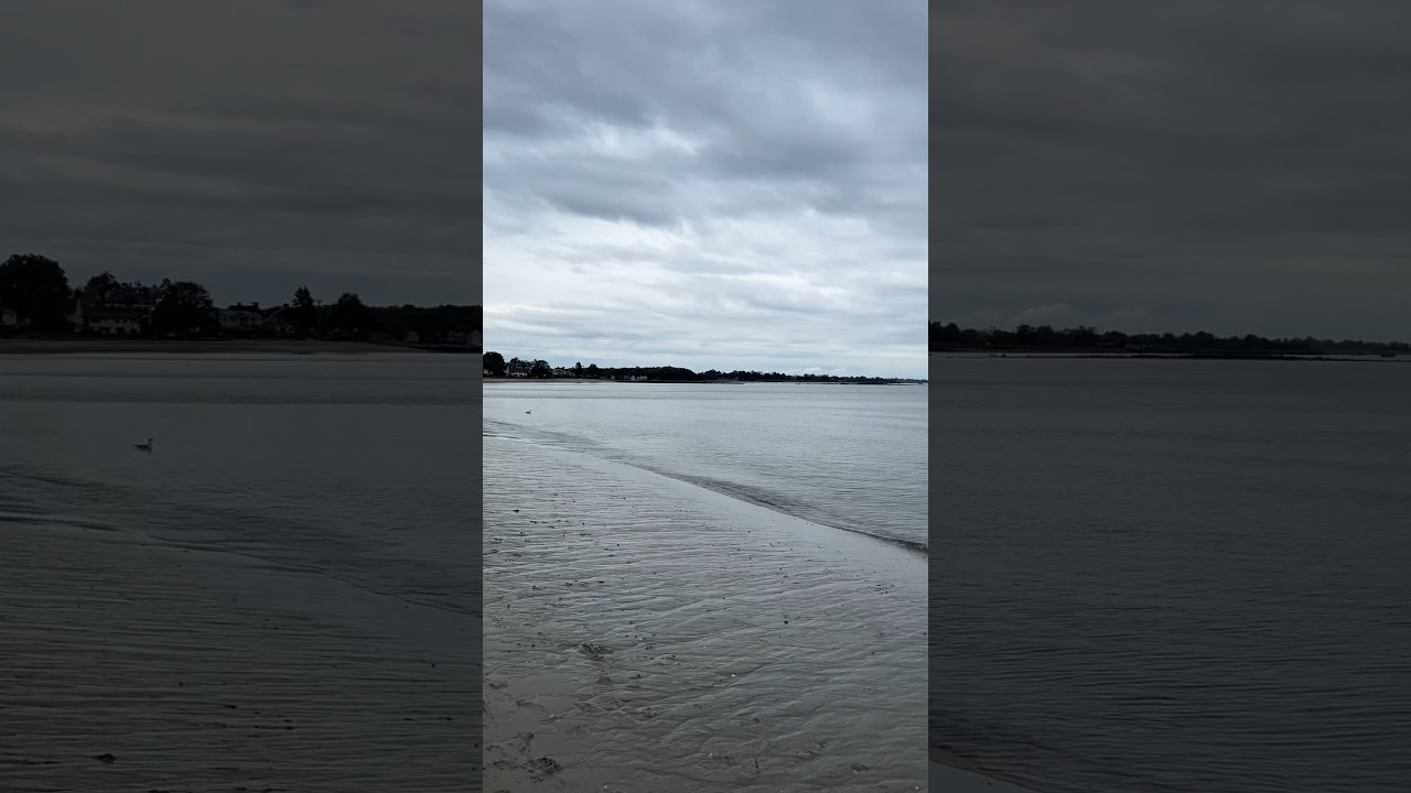 😶&zwj;🌫️Overcast🌧️ at 🍭Compo Beach🏖️