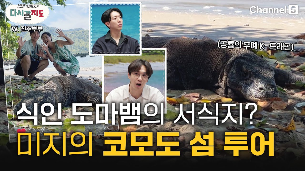 지구상 마지막 공룡의 후예? 코모도 섬(komodo island)의 최상위 포식자 서식지 투어ㅣ#진주부부ㅣ코모도섬ㅣ스피드보트투어ㅣ핑크비치ㅣ코모도왕도마뱀서식지ㅣ파다르섬 [다시갈지도]