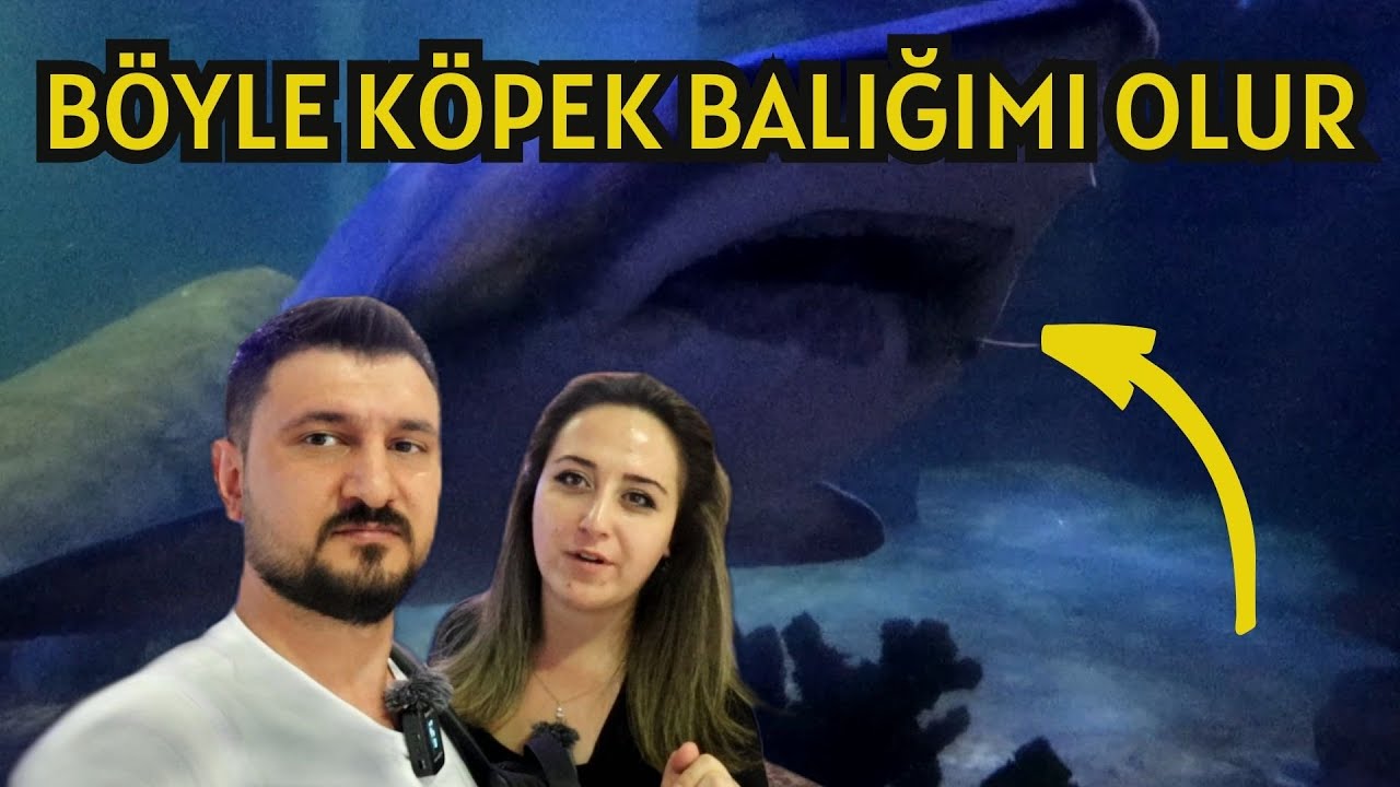 Nata Vega Ankara Türkiyenin En büyük Akvaryumu Maceramız - 7
