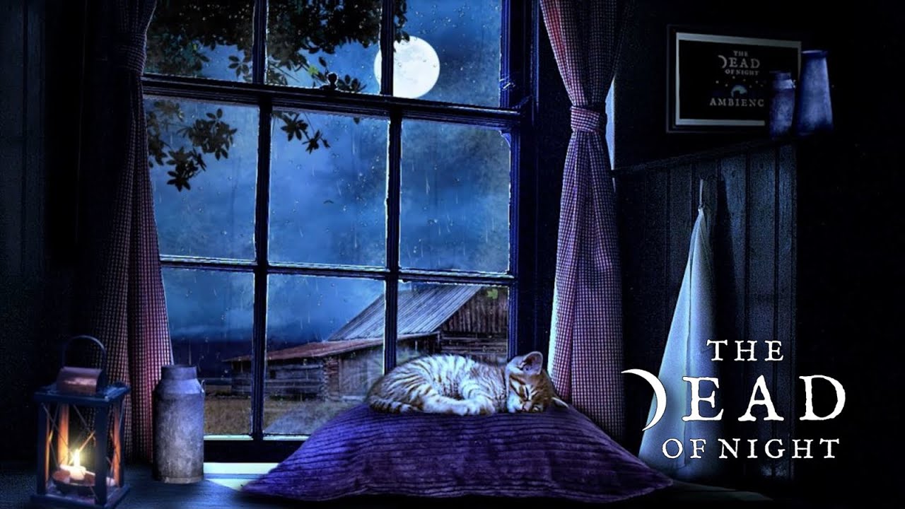 Stormy Night at the Farmhouse Ambience ‎‍🌾⛈️ | Rain & Thunder Sounds for Relaxation