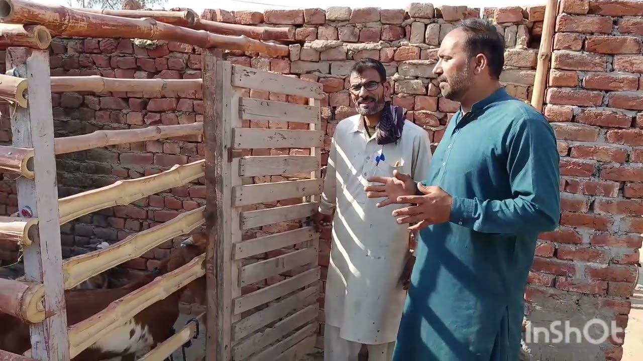 Rana Aslam Khan Waqar de Kam wale mundy ban Gai viloggers yaar Baili channel bana Lia.