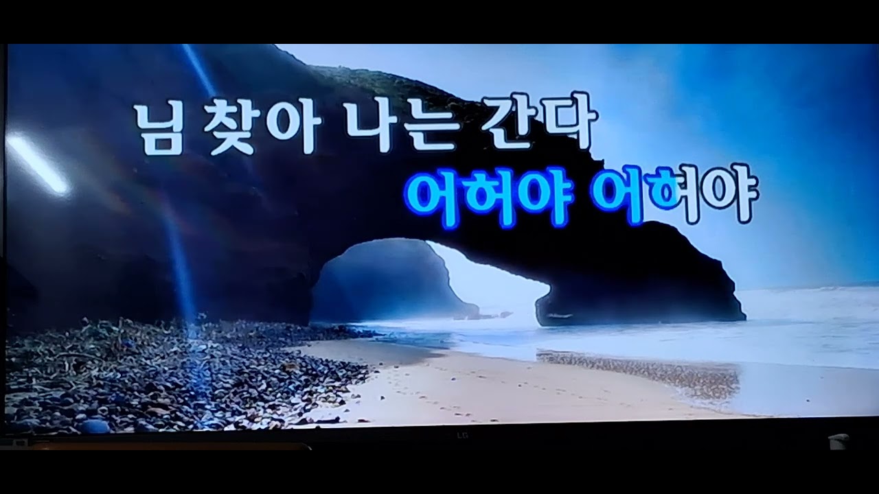 가수:유진수/님찾아가는길/원곡:진성/2026년2월22일/부산광역시/가수위원회/