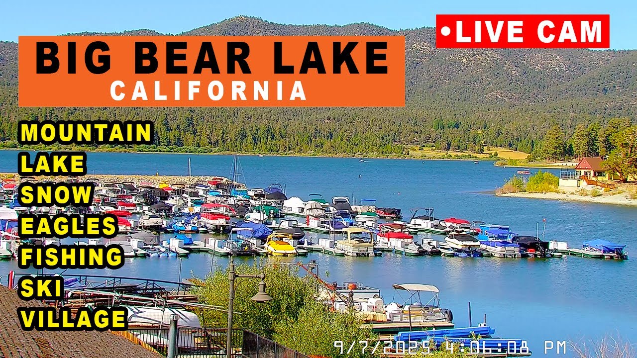 Big Bear California Live 24/7 Webcam 4K | Lake | Jackie and Shadow | Nature  |  Snow