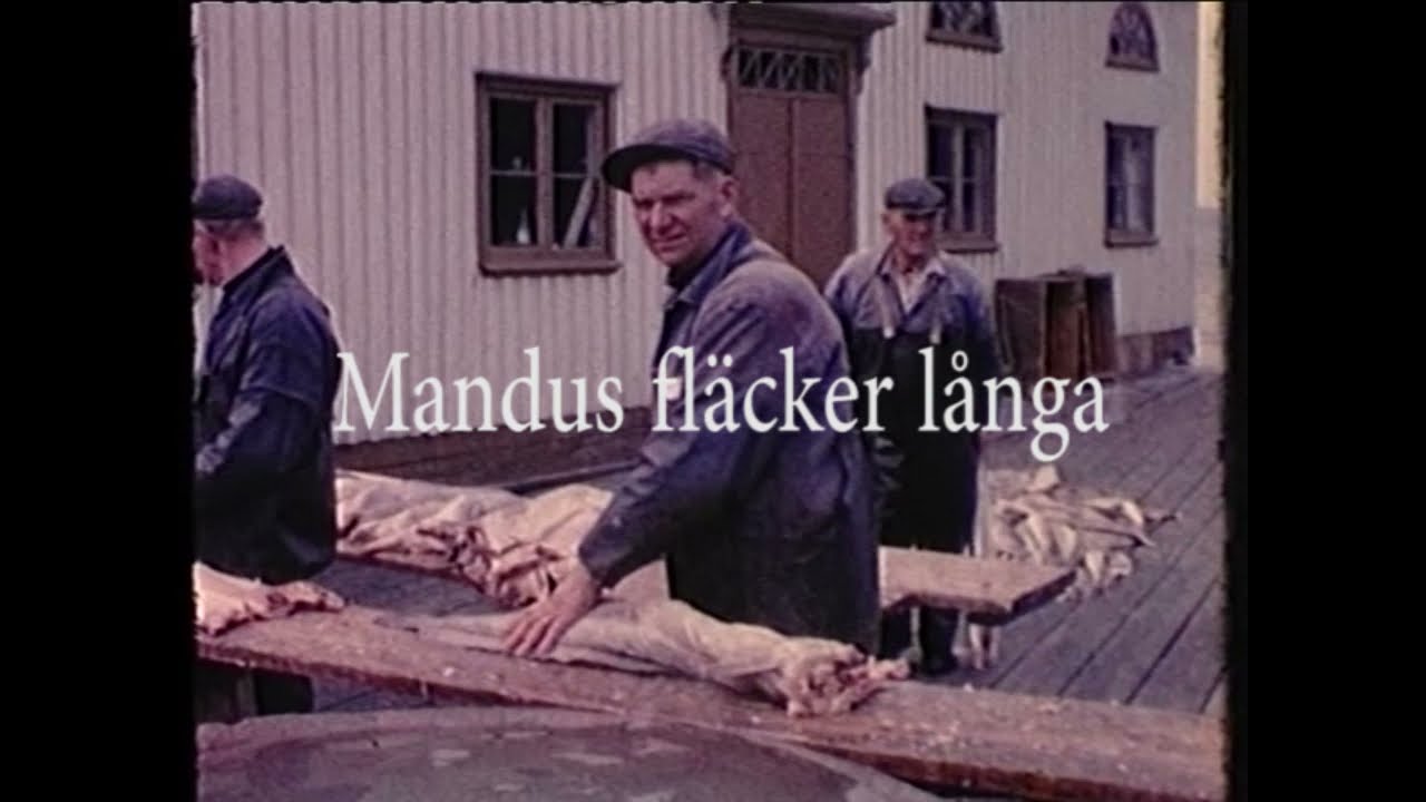 Härön på 1960 talet