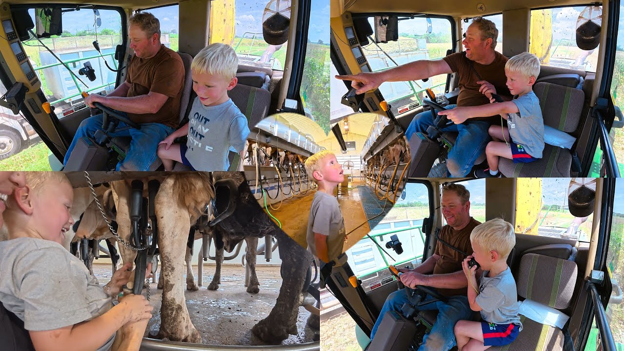 Chopping Corn Silage & Milking Cows — Through Steiger's Eyes