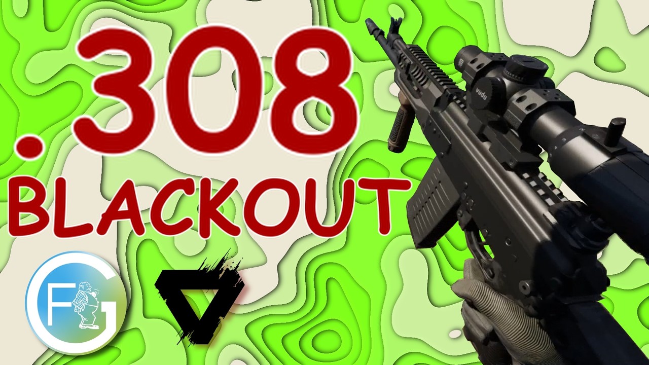AK-308 Action - Gray Zone Warfare                                     #gaming #gzw #grayzonewarfare