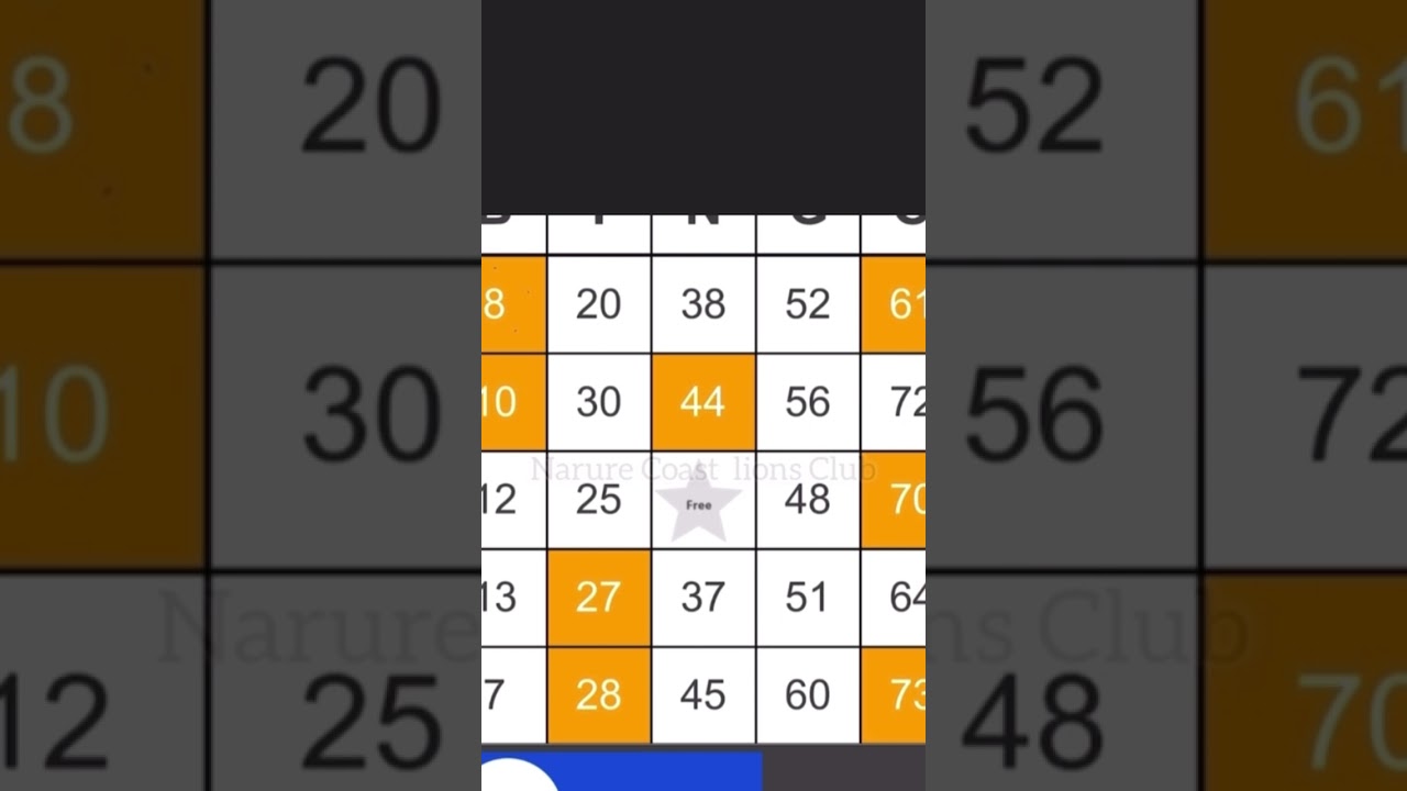 HOW TO PLAY VIRTUAL BINGO!