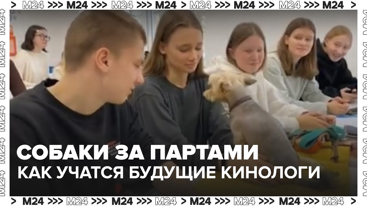 Собаки за партами: как учатся будущие кинологи в московской академии Скрябина