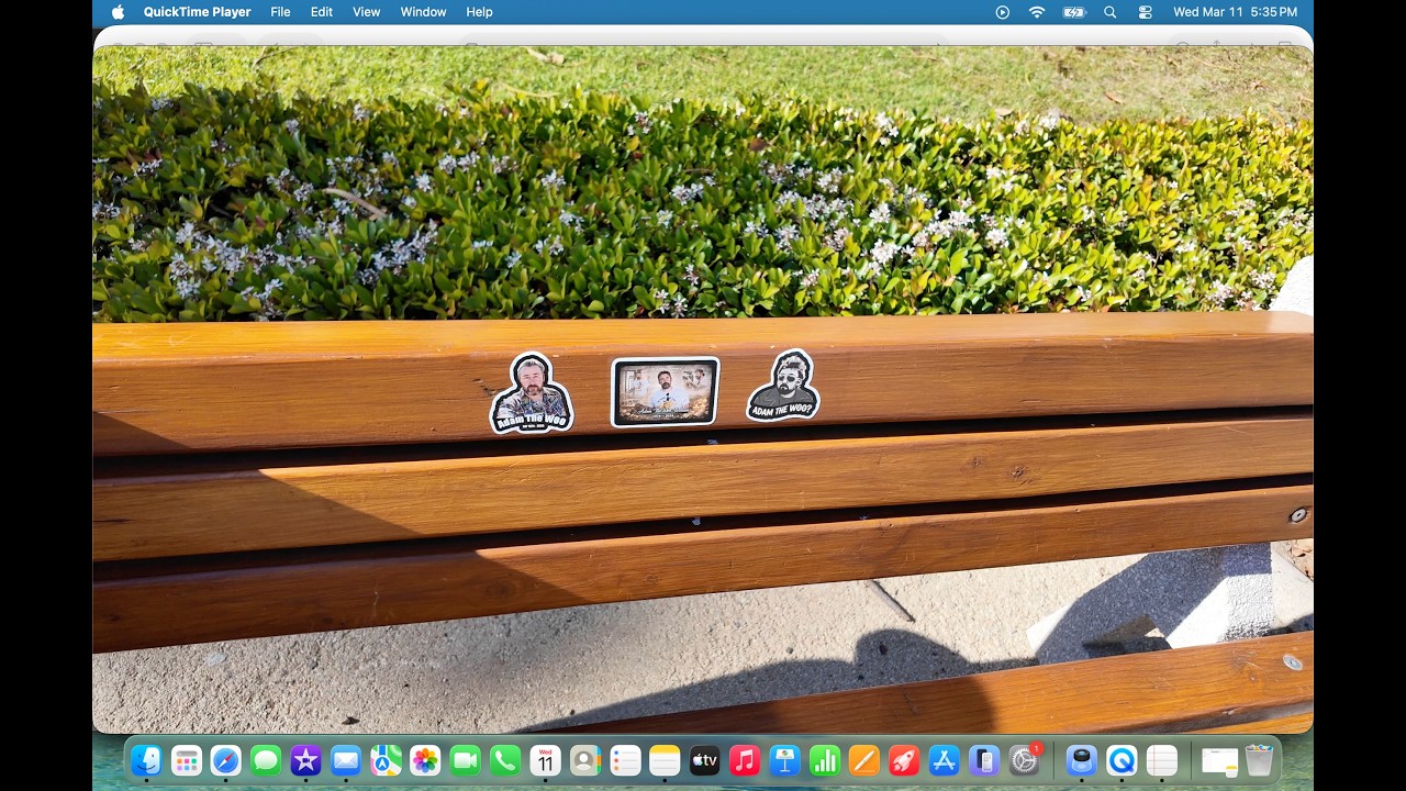 Adam's Orange Circle Bench / Whales /  Knott's Berry Farm / Celebration