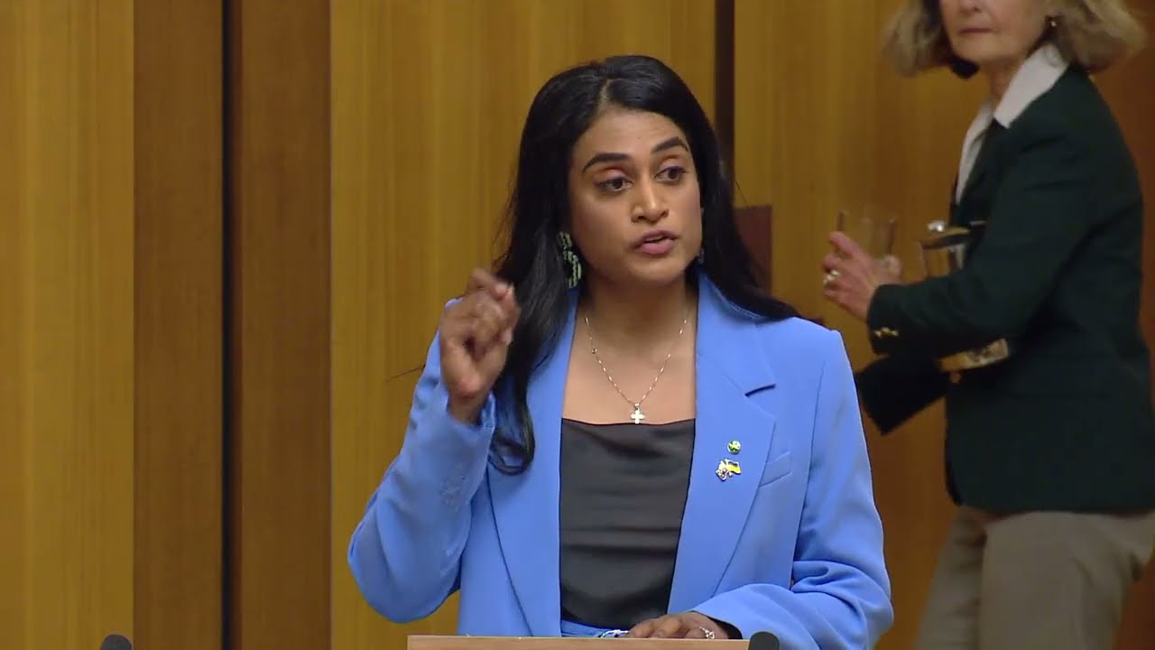 Women's Economic Security- Ash Ambihaipahar MP | Member for Barton NSW