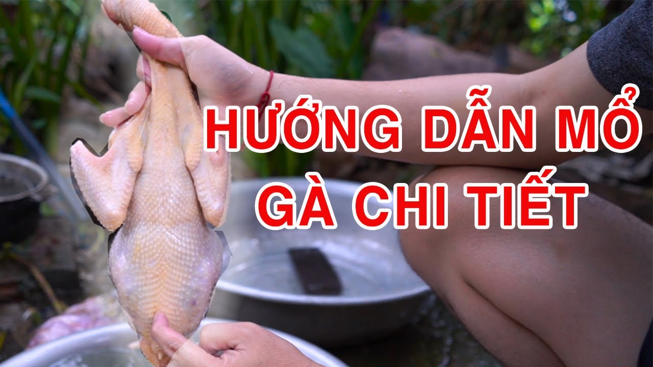 C&aacute;ch mổ G&Agrave;, VỊT, NGAN chi tiết nhất