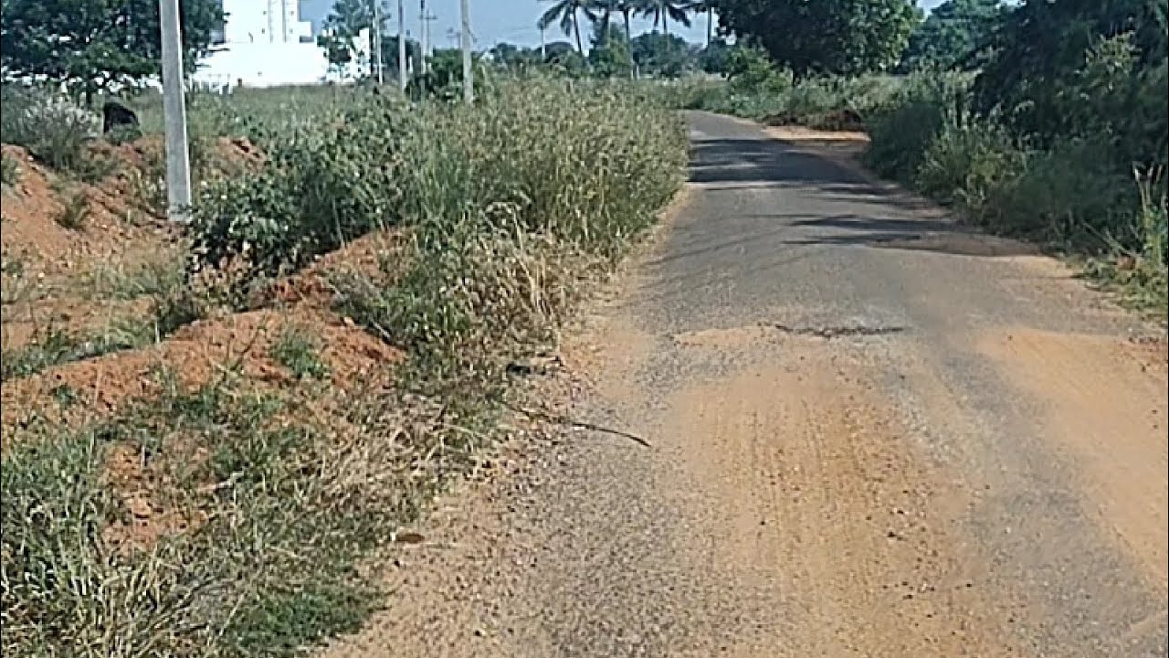 DTCP சைட் _வடக்கு பார்த்த சைட்_செம்மண் பூமி_ரிங் ரோடு அருகில்_வீடு கட்ட ஏற்ற இடம்.