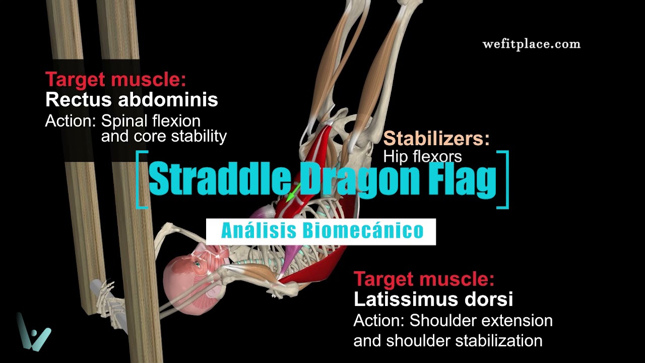 ANÁLISIS BIOMECÁNICO EN 1 MINUTO - STRADDLE DRAGON FLAG- Calistenia - StreetWorkout