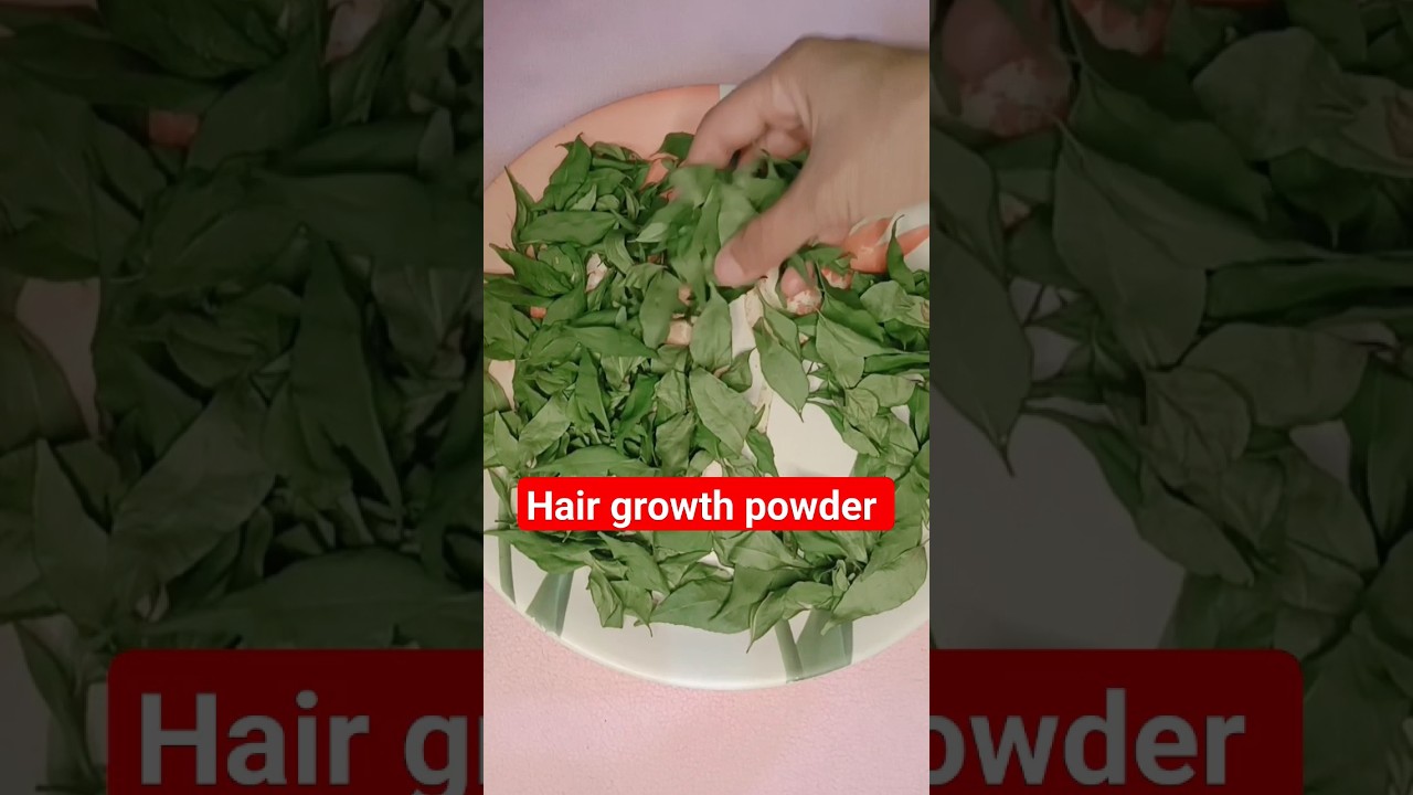 How to make Curry leaves powder at HOME. diy hair growth powder. #haircare #hairgrowth #ashortaday