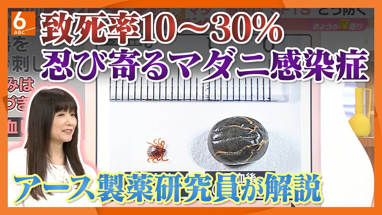 【識者解説】致死率10～30％、西日本に集中　マダニからの感染症「SFTS」どう防ぐ？　アース製薬研究員とともに“深掘り”