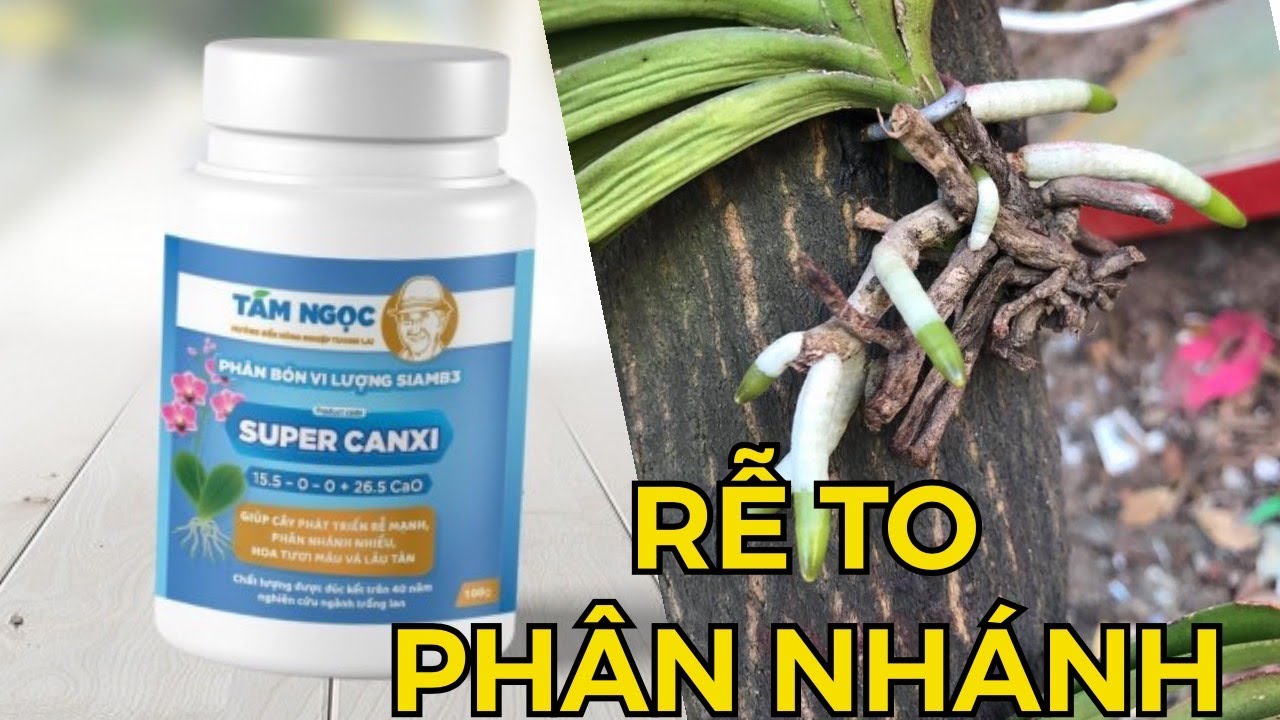 Phân Bón Super Canxi | BỘ TỨ SUPER TÁM NGỌC 2021