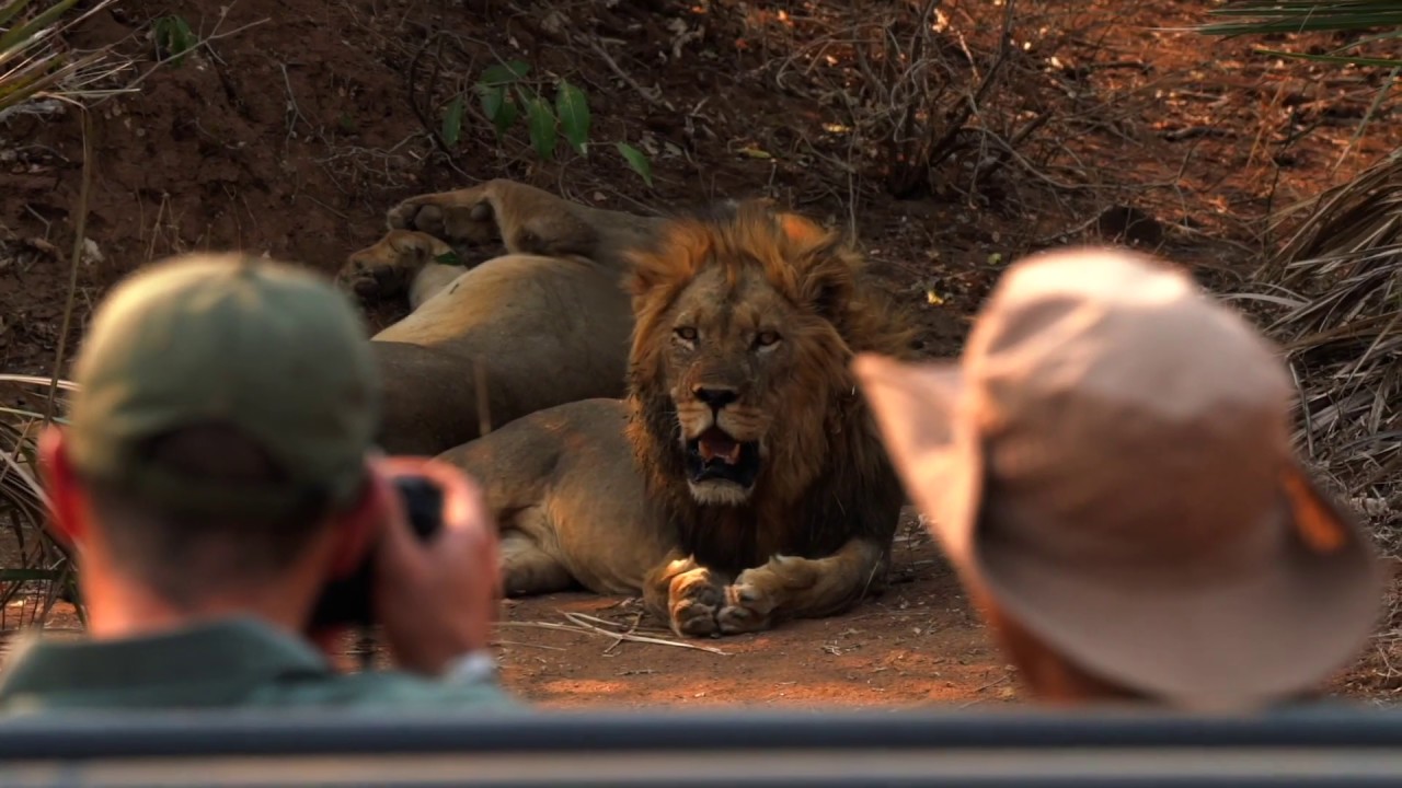 Sausage Tree Camp | Zambia | Expert Africa