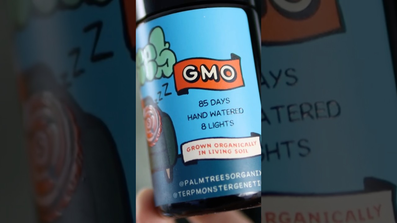 MUST TRY GMO