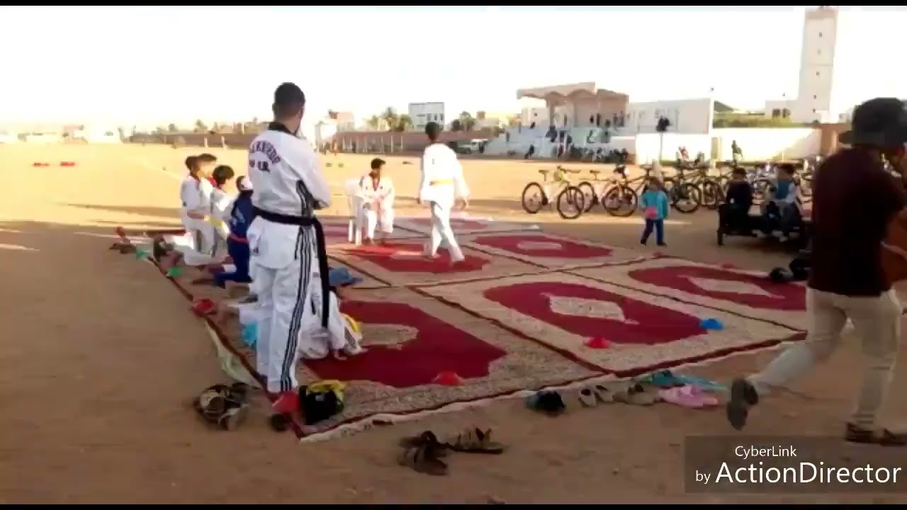 عروض تايكواندو 