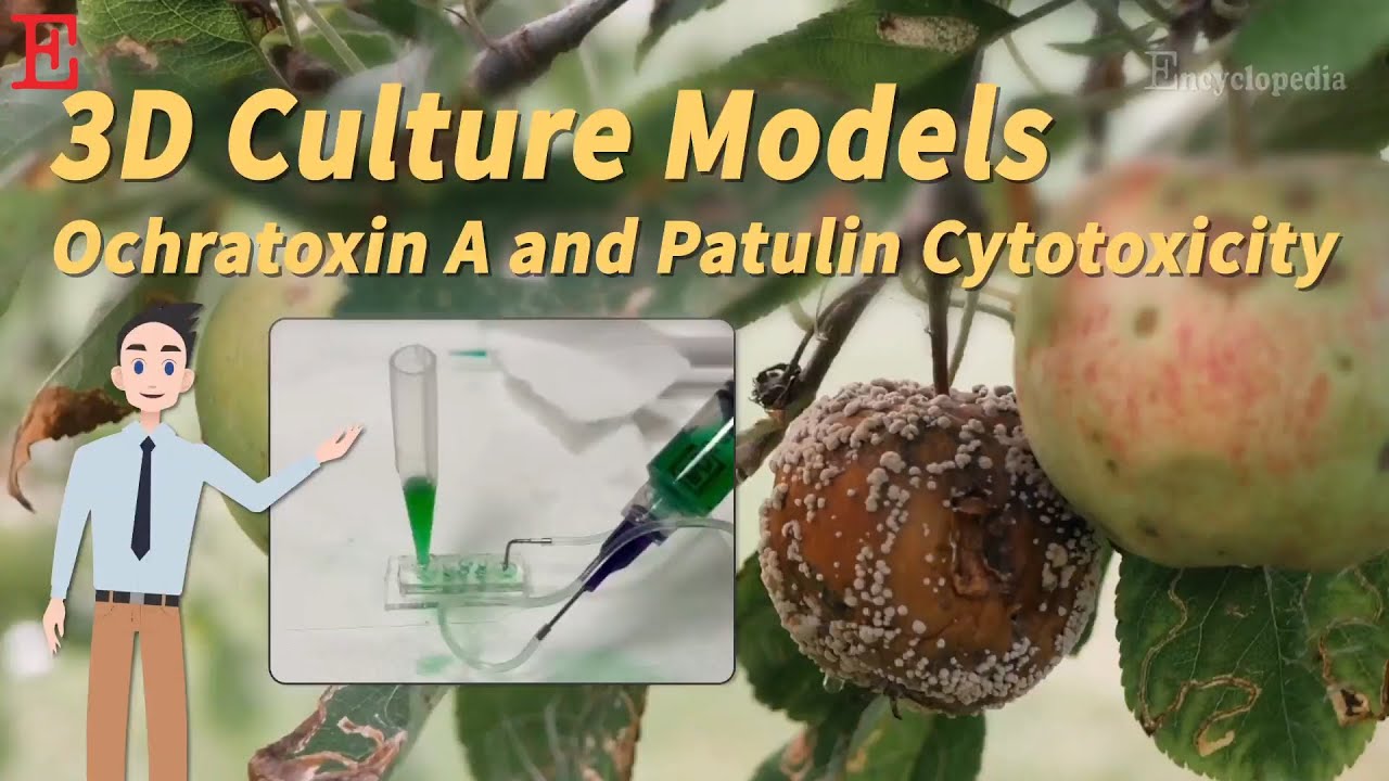 【Foods】Microfluidic Cytotoxicity Assessment of Ochratoxin A and Patulin