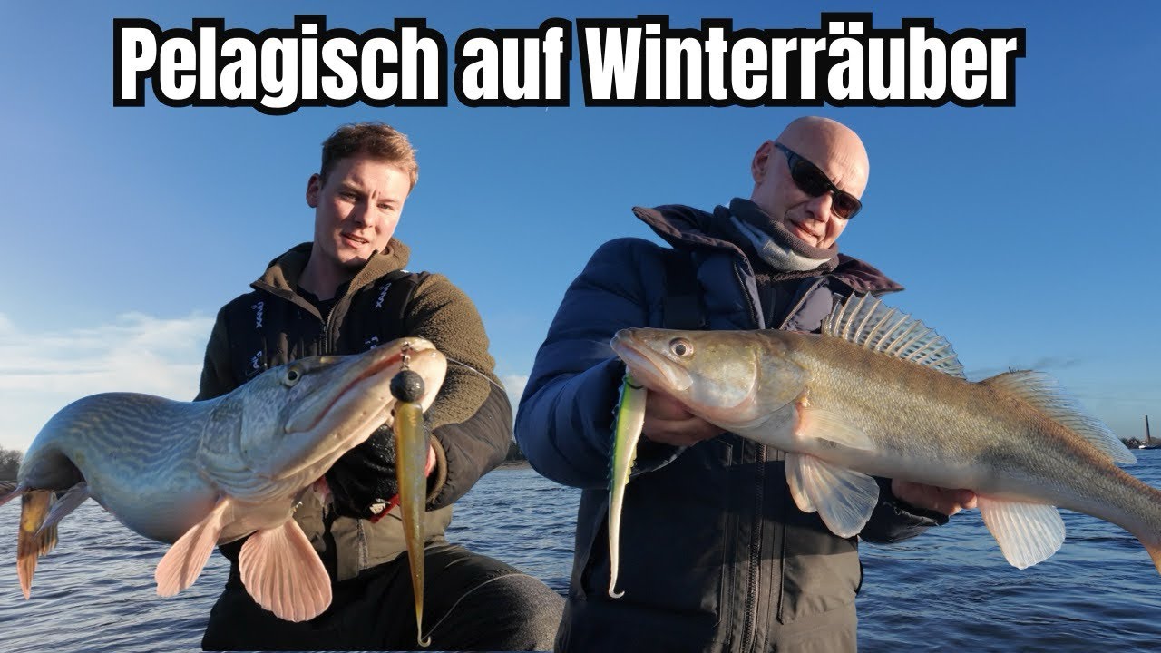 Pelagisch auf Winterräuber 