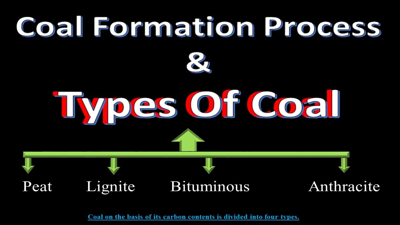 Types of Coal | How Coal is formed Step by Step | Coal Formation Process | Organic Compounds