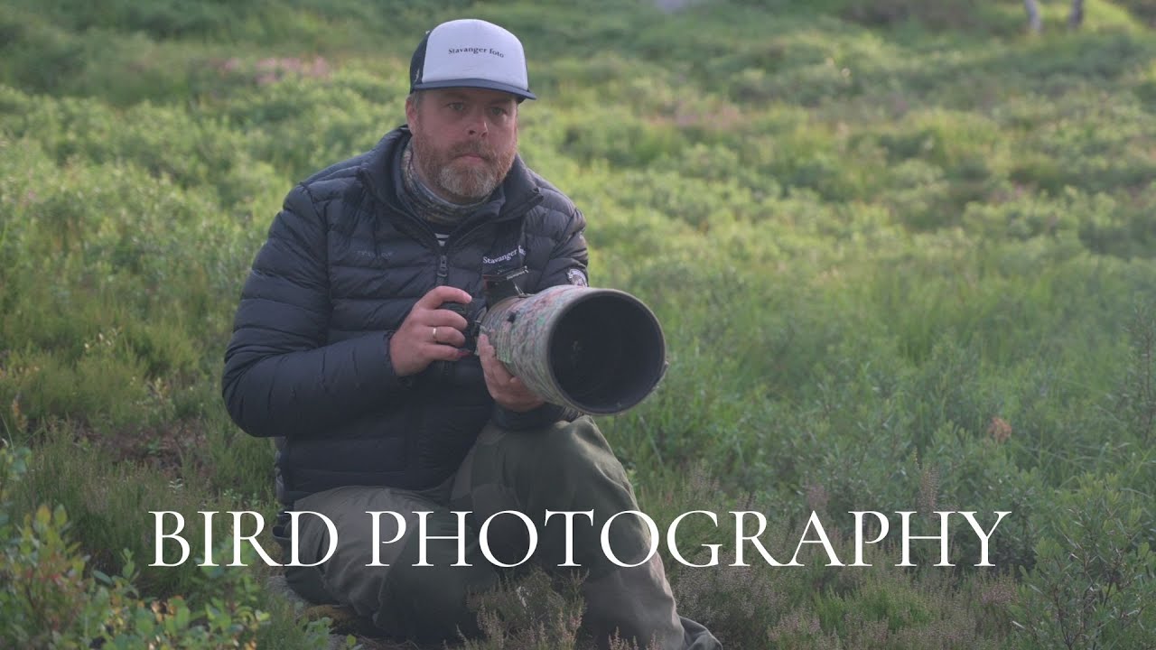 A BIG reward after many hours // BIRD PHOTOGRAPHY tips and tricks