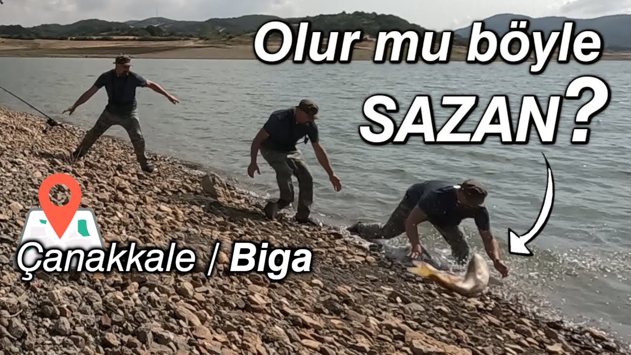 Поймал это в последнюю минуту! Карповая охота.