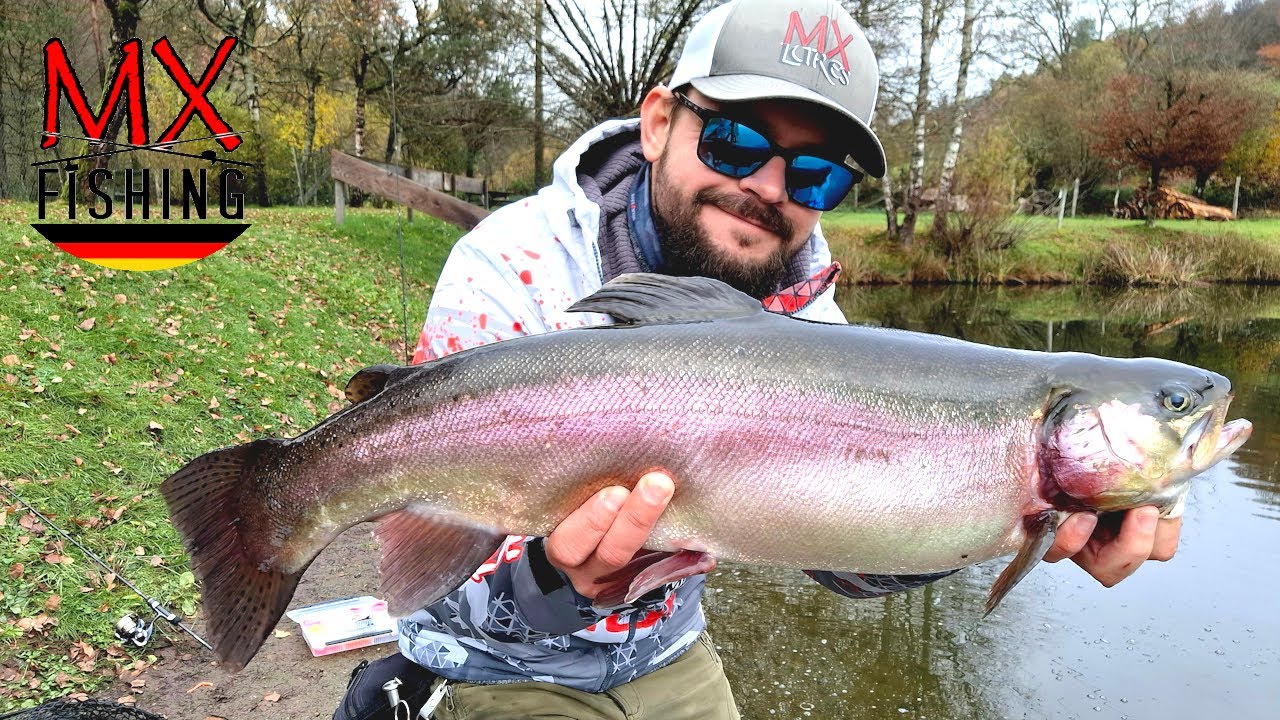 Bachforellen und Lachsforellen im Herbst, mit vielen Neugkeiten/Forellen fischen mit Kunstködern