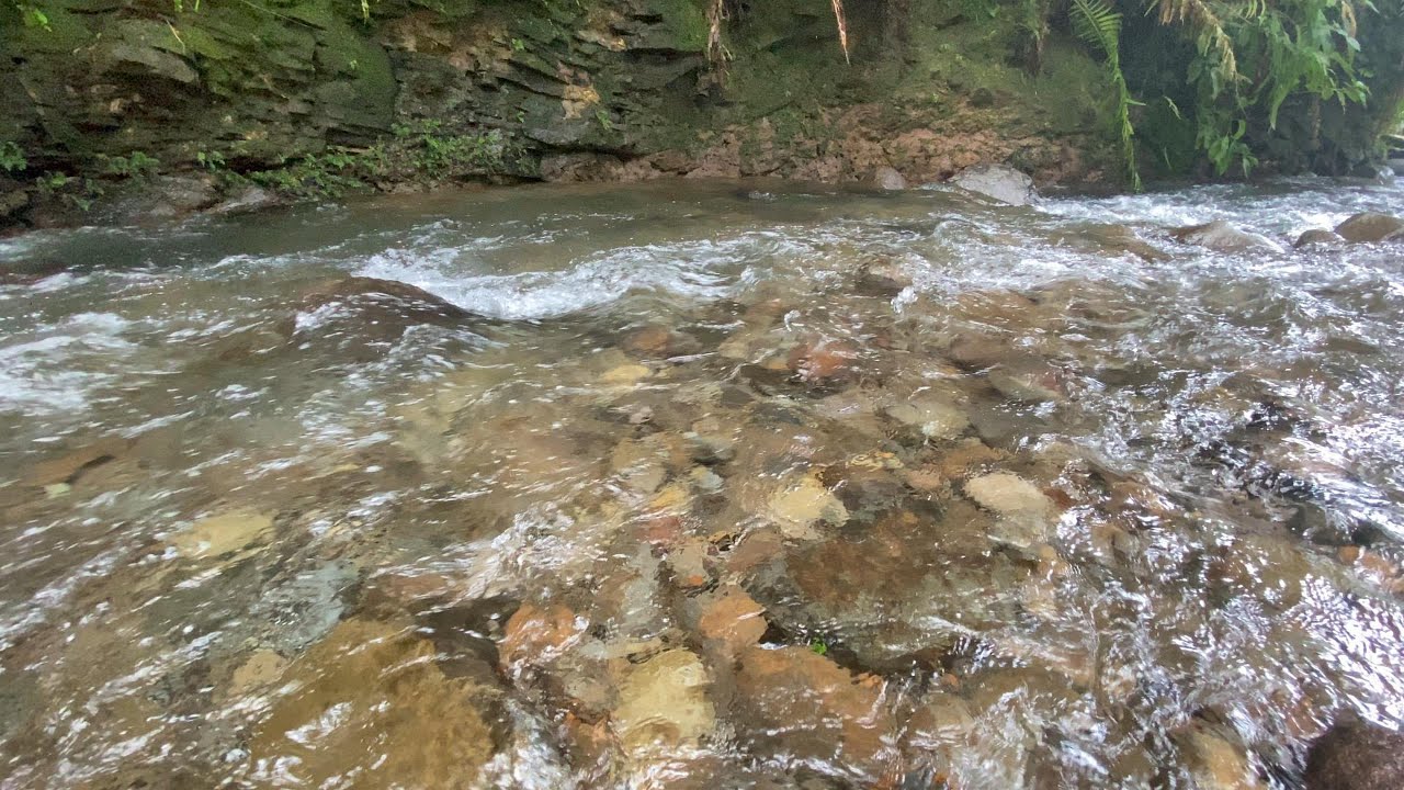 Relaxing River Sounds for Deep Sleep | Calm Forest Water Ambience