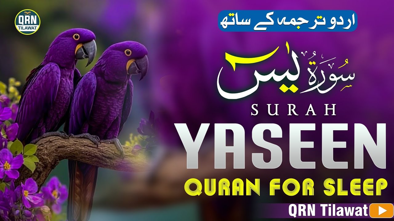Surah Yaseen with Urdu Translation | Qari Ismail Al Nouri | Heart Touching Tilawat